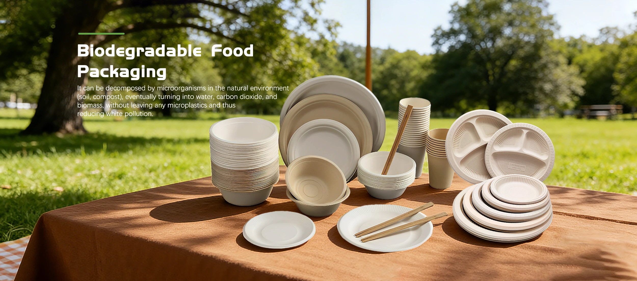 Fornecedor de embalagens de alimentos biodegradáveis ​​​​na China